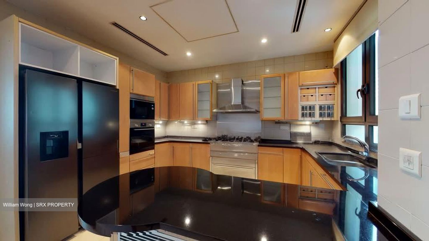 Ardmore Park (D10), Condominium #577683771